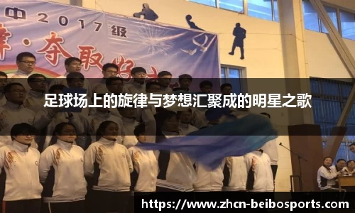 足球场上的旋律与梦想汇聚成的明星之歌